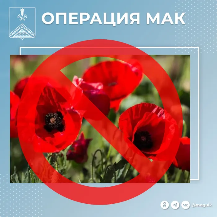 Операция МАК