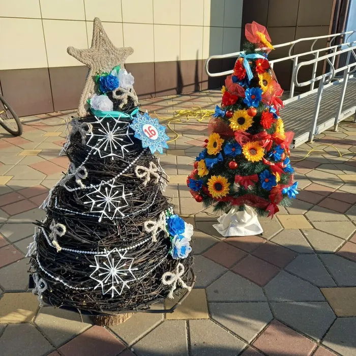 IMG_20221226_090511_693